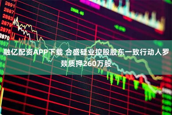 融亿配资APP下载 合盛硅业控股股东一致行动人罗燚质押260万股